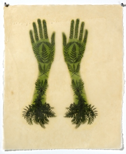 4503668347357036_d1yJgovx_c