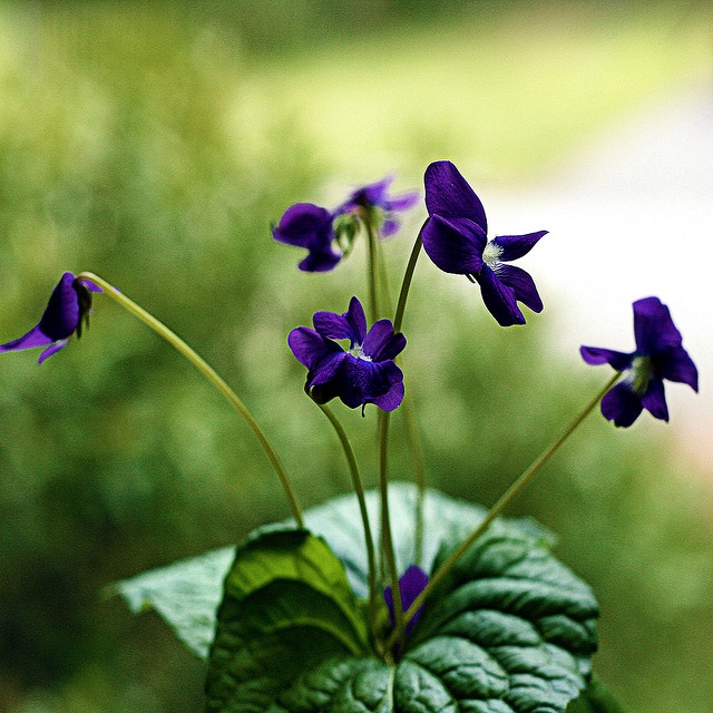 dd847190630d685416f56432ba3375e8