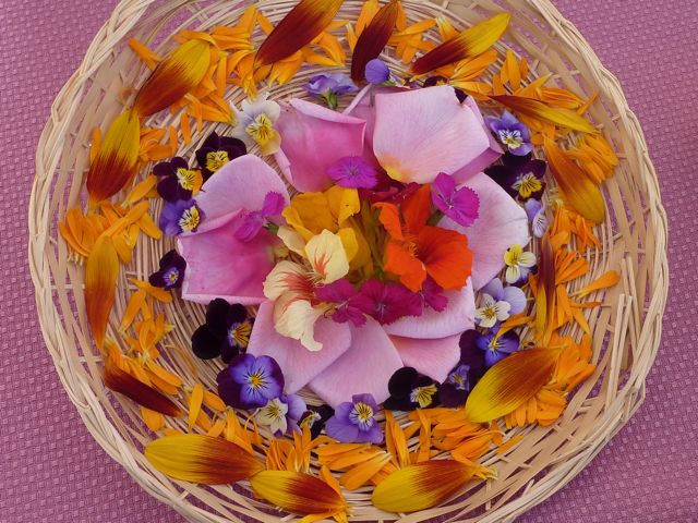 edibleflowers-display